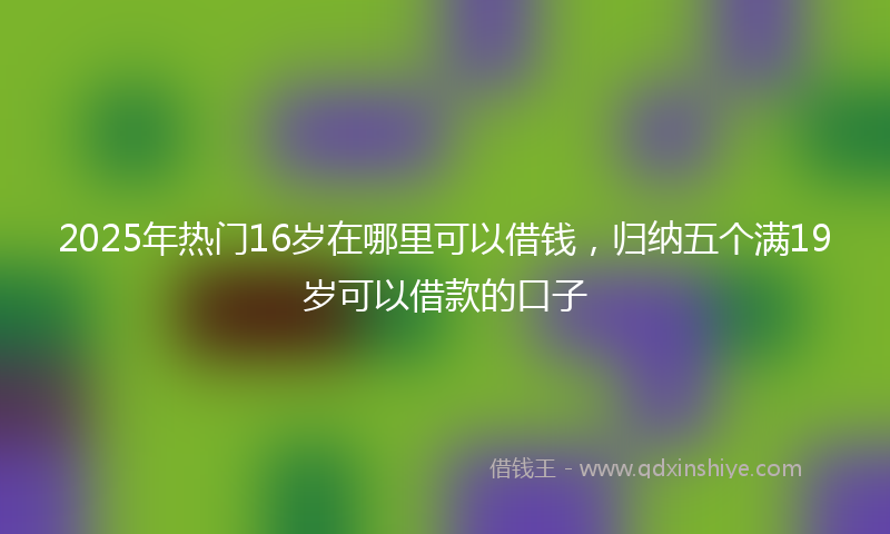 2025年热门16岁在哪里可以借钱，归纳五个满19岁可以借款的口子