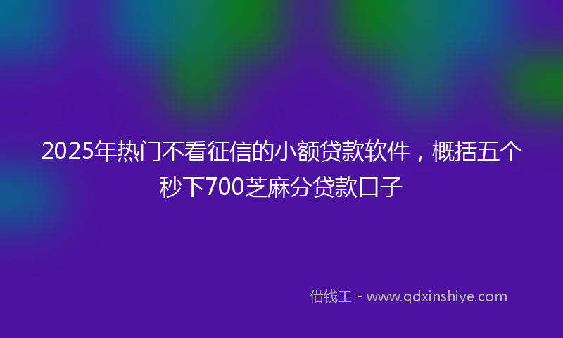 2025年热门不看征信的小额贷款软件，概括五个秒下700芝麻分贷款口子