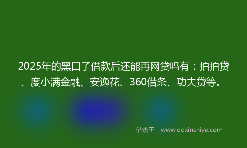 2025年的黑口子借款后还能再网贷吗有：拍拍贷、度小满金融、安逸花、360借条、功夫贷等。