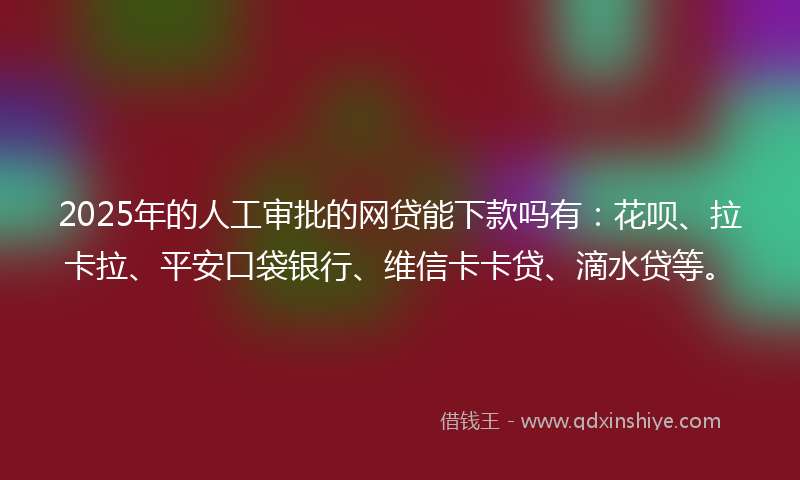 2025年的人工审批的网贷能下款吗有：花呗、拉卡拉、平安口袋银行、维信卡卡贷、滴水贷等。