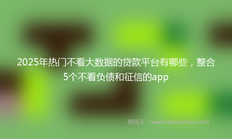 2025年热门不看大数据的贷款平台有哪些，整合5个不看负债和征信的app