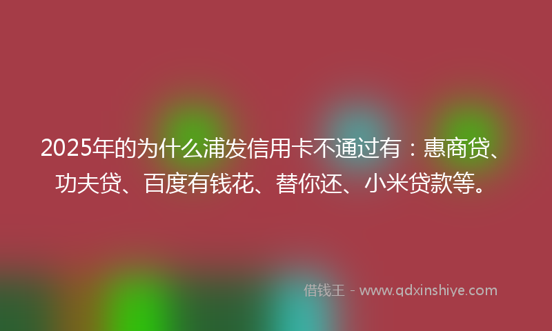 2025年的为什么浦发信用卡不通过有：惠商贷、功夫贷、百度有钱花、替你还、小米贷款等。
