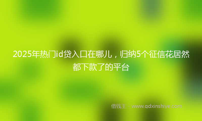 2025年热门id贷入口在哪儿，归纳5个征信花居然都下款了的平台
