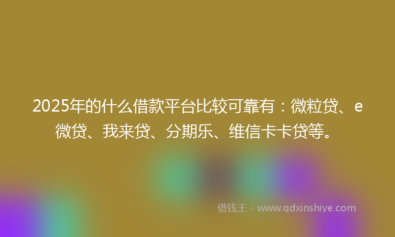 2025年的什么借款平台比较可靠有：微粒贷、e微贷、我来贷、分期乐、维信卡卡贷等。
