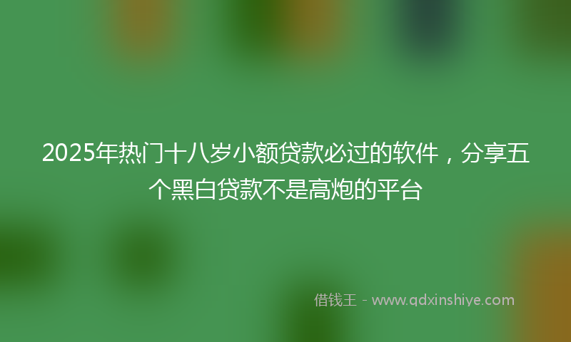 2025年热门十八岁小额贷款必过的软件，分享五个黑白贷款不是高炮的平台