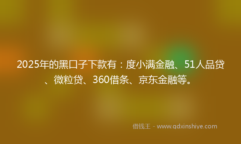 2025年的黑口子下款有：度小满金融、51人品贷、微粒贷、360借条、京东金融等。