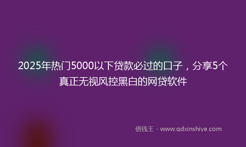 2025年热门5000以下贷款必过的口子，分享5个真正无视风控黑白的网贷软件