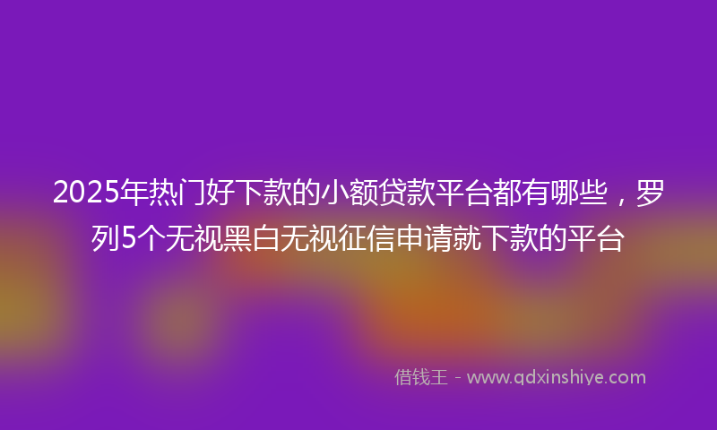 2025年热门好下款的小额贷款平台都有哪些，罗列5个无视黑白无视征信申请就下款的平台