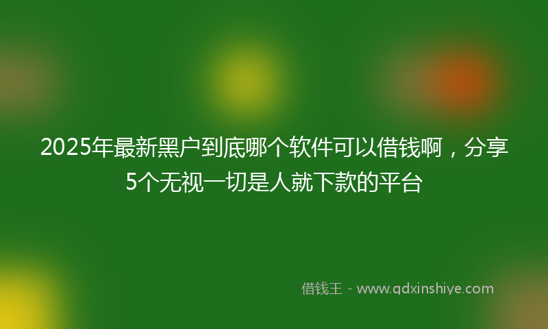 2025年最新黑户到底哪个软件可以借钱啊，分享5个无视一切是人就下款的平台