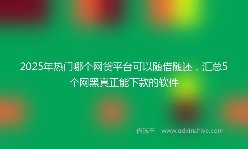 2025年热门哪个网贷平台可以随借随还，汇总5个网黑真正能下款的软件
