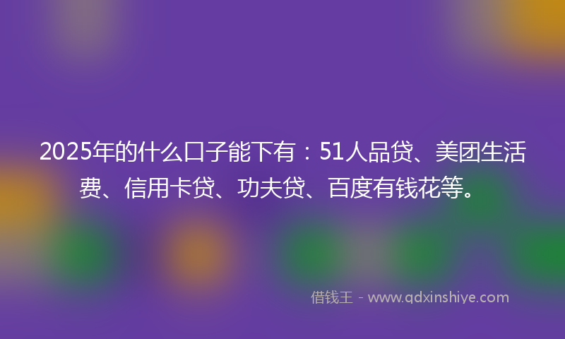 2025年的什么口子能下有：51人品贷、美团生活费、信用卡贷、功夫贷、百度有钱花等。
