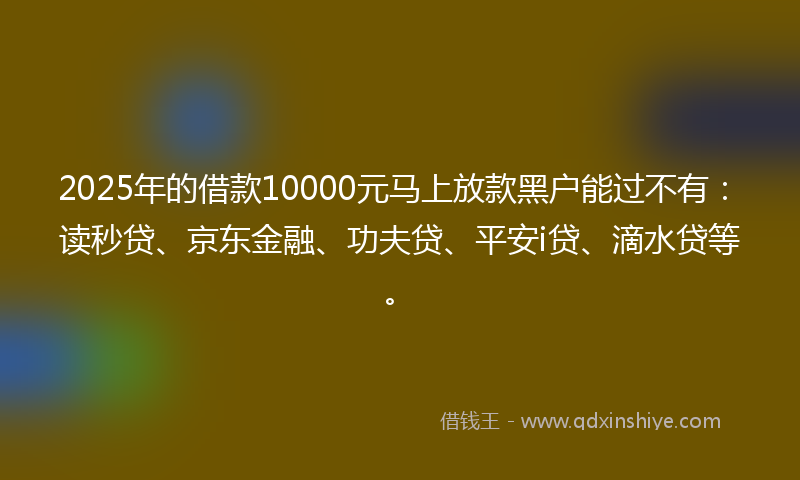 2025年的借款10000元马上放款黑户能过不有：读秒贷、京东金融、功夫贷、平安i贷、滴水贷等。