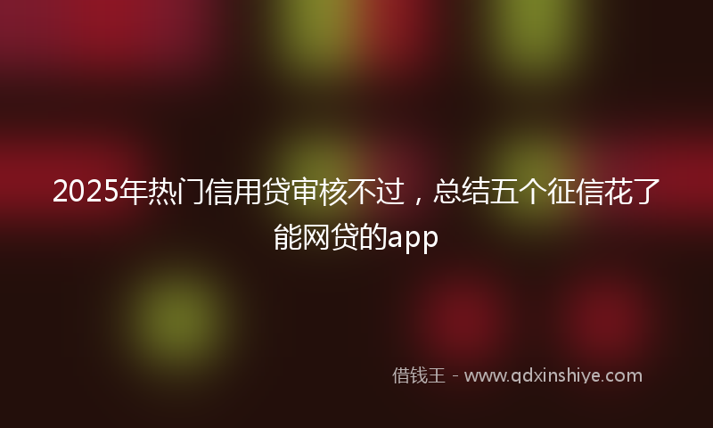 2025年热门信用贷审核不过，总结五个征信花了能网贷的app