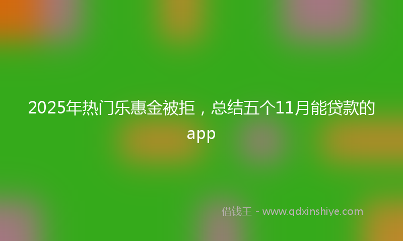 2025年热门乐惠金被拒，总结五个11月能贷款的app