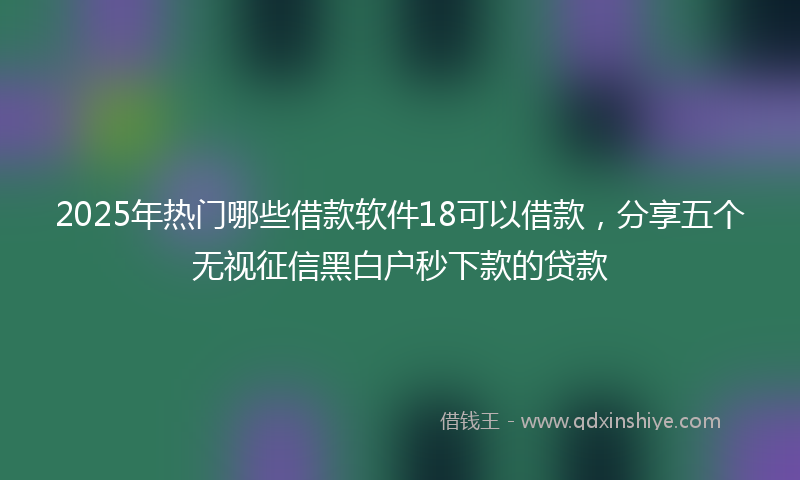 2025年热门哪些借款软件18可以借款，分享五个无视征信黑白户秒下款的贷款