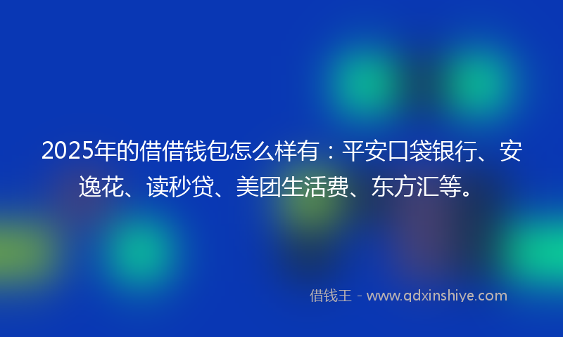 2025年的借借钱包怎么样有：平安口袋银行、安逸花、读秒贷、美团生活费、东方汇等。