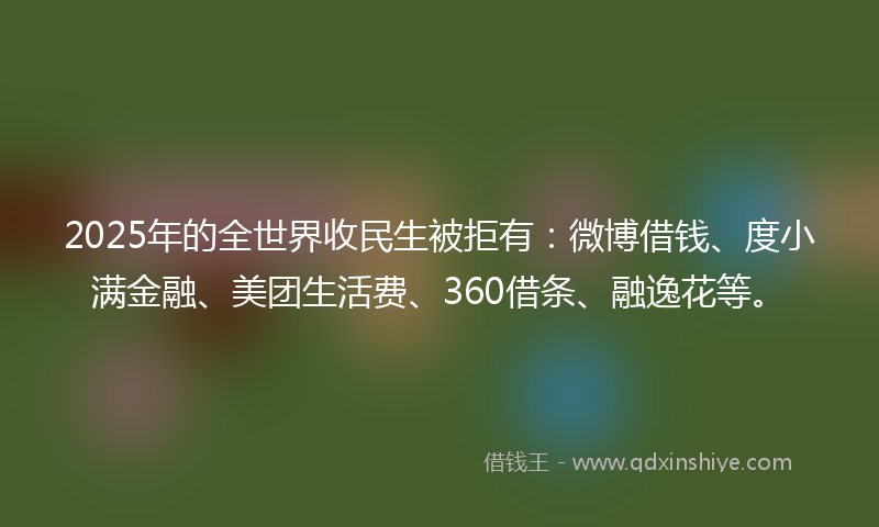 2025年的全世界收民生被拒有：微博借钱、度小满金融、美团生活费、360借条、融逸花等。