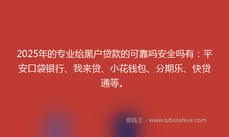 2025年的专业给黑户贷款的可靠吗安全吗有：平安口袋银行、我来贷、小花钱包、分期乐、快贷通等。