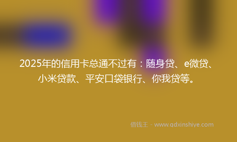 2025年的信用卡总通不过有：随身贷、e微贷、小米贷款、平安口袋银行、你我贷等。