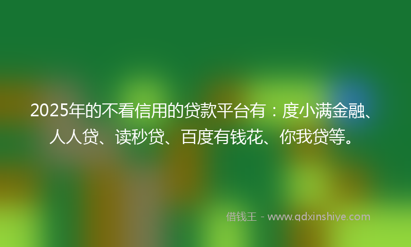2025年的不看信用的贷款平台有：度小满金融、人人贷、读秒贷、百度有钱花、你我贷等。
