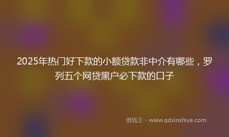 2025年热门好下款的小额贷款非中介有哪些，罗列五个网贷黑户必下款的口子