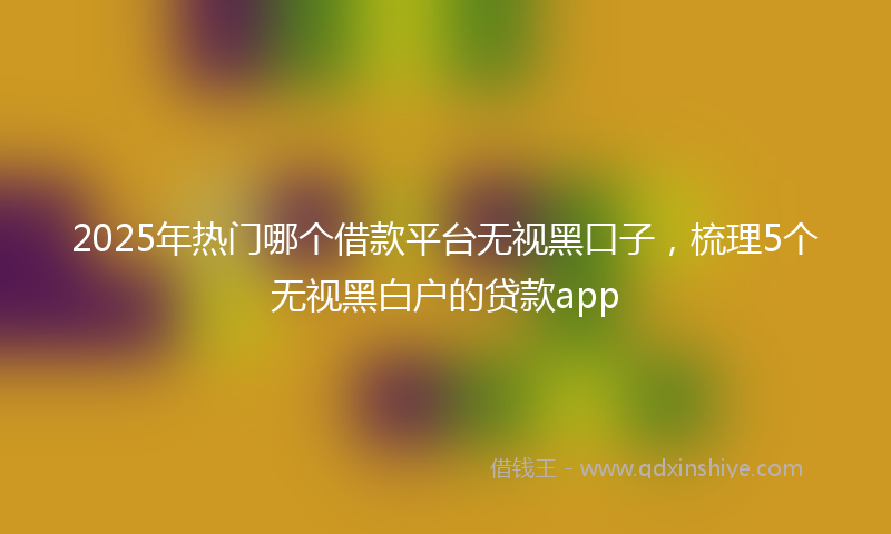 2025年热门哪个借款平台无视黑口子，梳理5个无视黑白户的贷款app