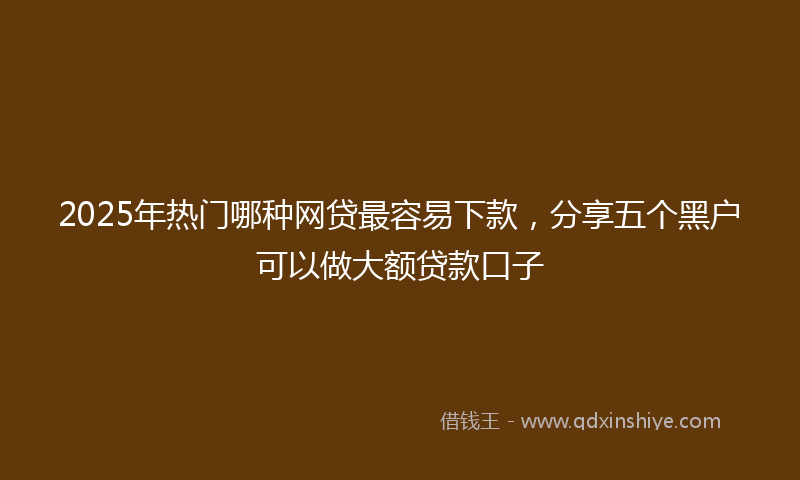 2025年热门哪种网贷最容易下款，分享五个黑户可以做大额贷款口子