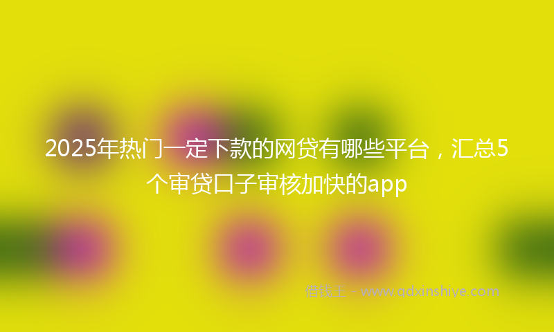 2025年热门一定下款的网贷有哪些平台，汇总5个审贷口子审核加快的app