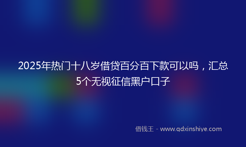 2025年热门十八岁借贷百分百下款可以吗，汇总5个无视征信黑户口子
