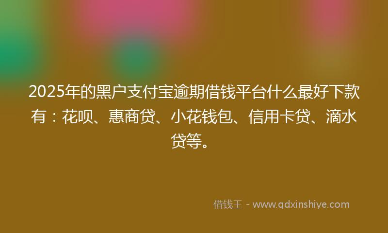 2025年的黑户支付宝逾期借钱平台什么最好下款有：花呗、惠商贷、小花钱包、信用卡贷、滴水贷等。