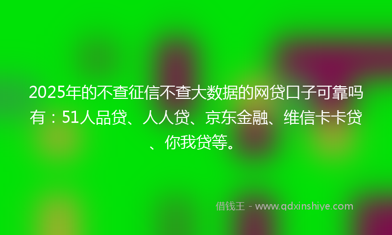 2025年的不查征信不查大数据的网贷口子可靠吗有：51人品贷、人人贷、京东金融、维信卡卡贷、你我贷等。