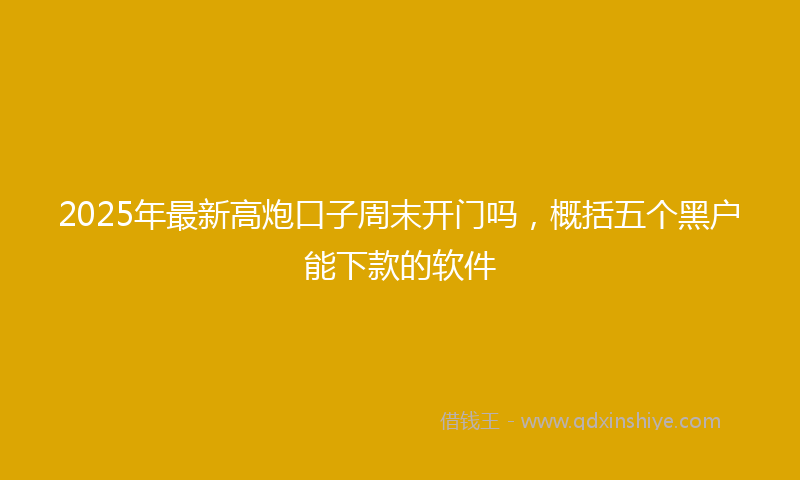 2025年最新高炮口子周末开门吗，概括五个黑户能下款的软件