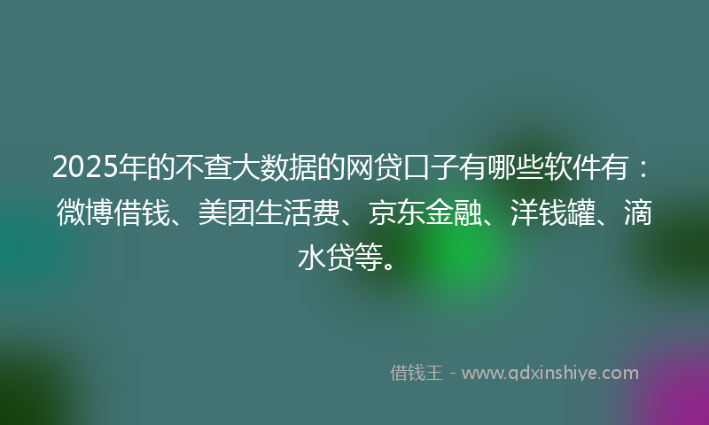 2025年的不查大数据的网贷口子有哪些软件有：微博借钱、美团生活费、京东金融、洋钱罐、滴水贷等。