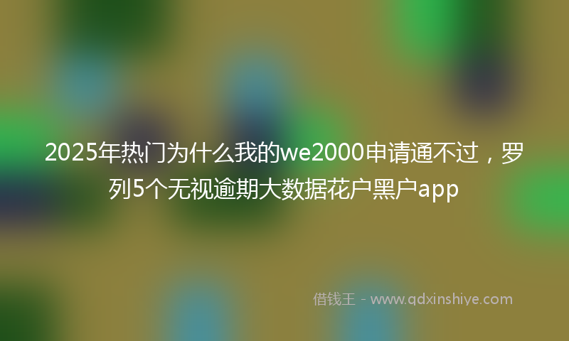 2025年热门为什么我的we2000申请通不过，罗列5个无视逾期大数据花户黑户app
