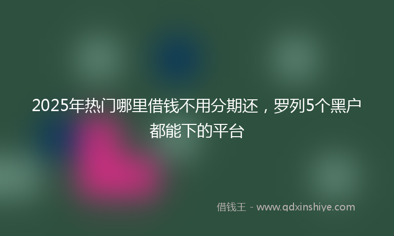 2025年热门哪里借钱不用分期还，罗列5个黑户都能下的平台