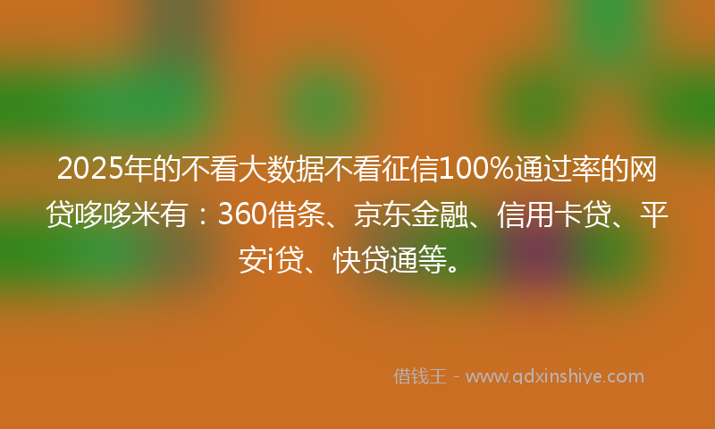 2025年的不看大数据不看征信100%通过率的网贷哆哆米有：360借条、京东金融、信用卡贷、平安i贷、快贷通等。