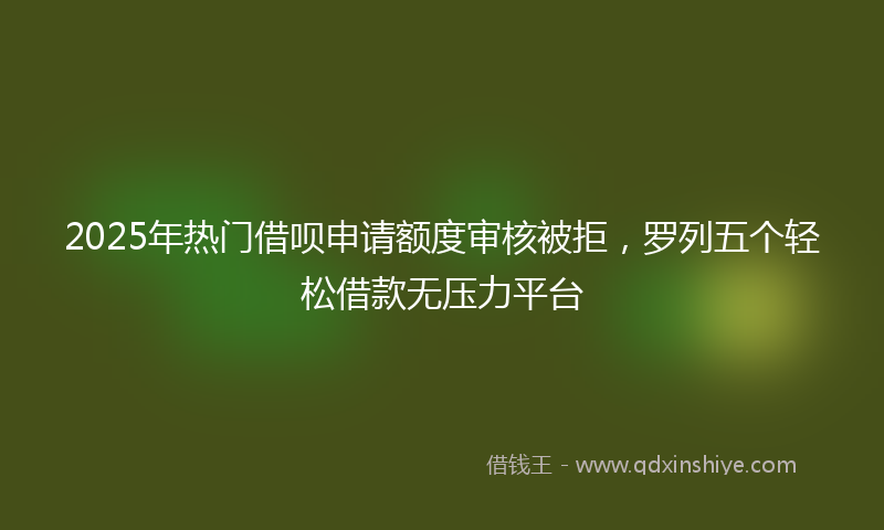 2025年热门借呗申请额度审核被拒，罗列五个轻松借款无压力平台