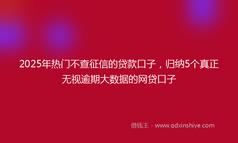 2025年热门不查征信的贷款口子，归纳5个真正无视逾期大数据的网贷口子