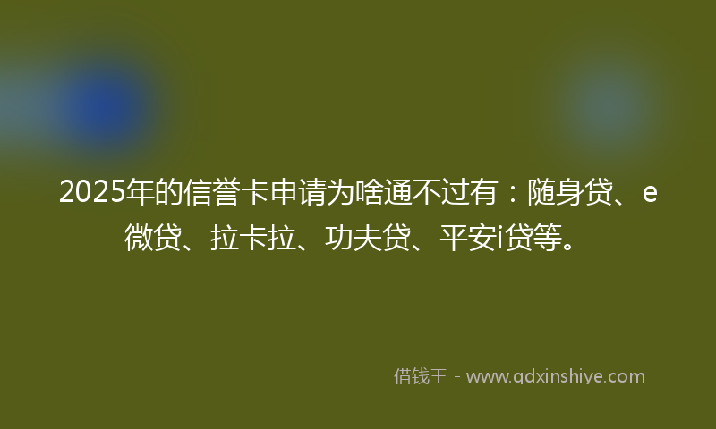 2025年的信誉卡申请为啥通不过有：随身贷、e微贷、拉卡拉、功夫贷、平安i贷等。