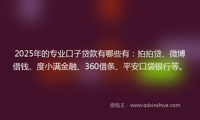 2025年的专业口子贷款有哪些有：拍拍贷、微博借钱、度小满金融、360借条、平安口袋银行等。