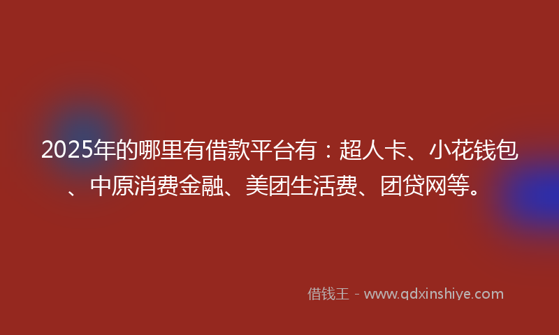 2025年的哪里有借款平台有：超人卡、小花钱包、中原消费金融、美团生活费、团贷网等。
