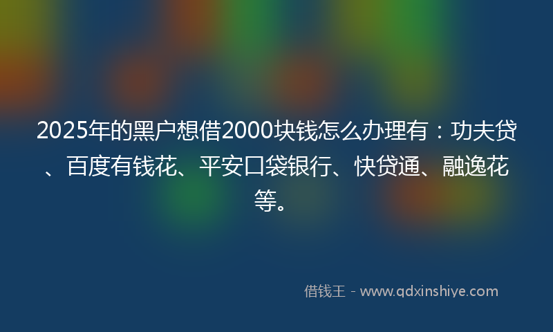 2025年的黑户想借2000块钱怎么办理有：功夫贷、百度有钱花、平安口袋银行、快贷通、融逸花等。