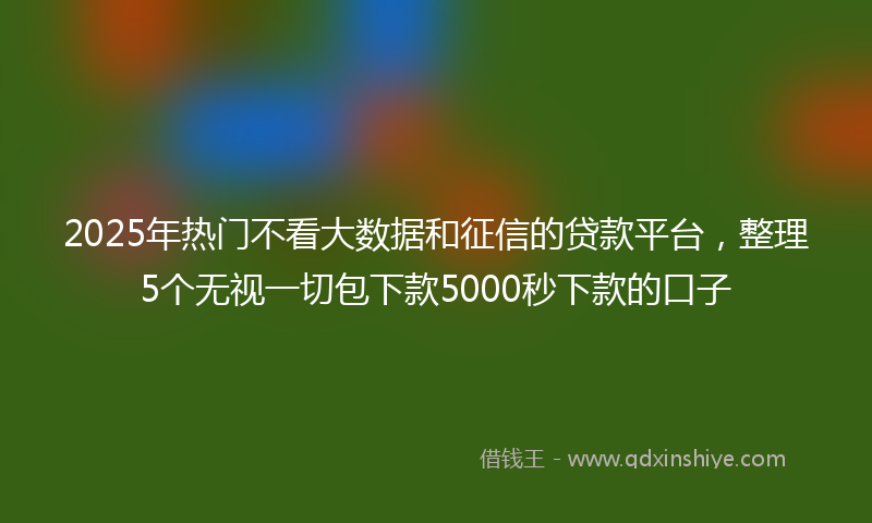 2025年热门不看大数据和征信的贷款平台，整理5个无视一切包下款5000秒下款的口子