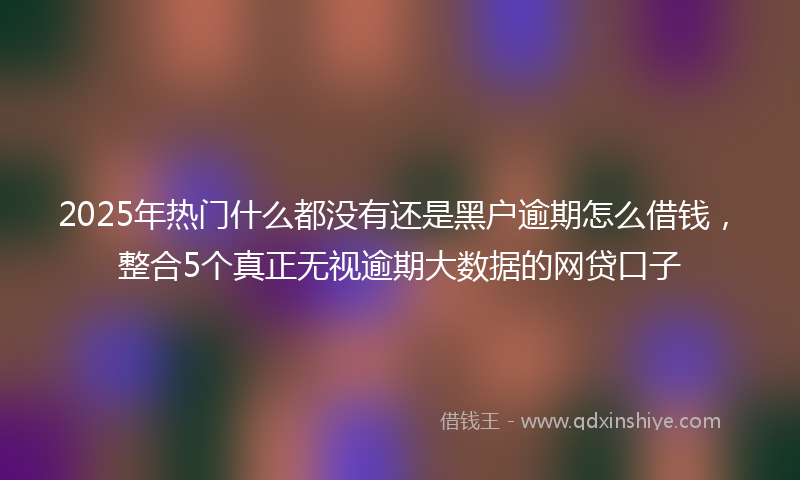 2025年热门什么都没有还是黑户逾期怎么借钱，整合5个真正无视逾期大数据的网贷口子