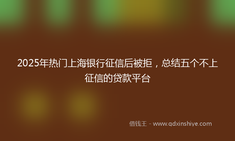 2025年热门上海银行征信后被拒，总结五个不上征信的贷款平台