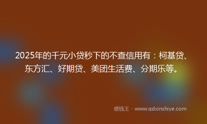 2025年的千元小贷秒下的不查信用有：柯基贷、东方汇、好期贷、美团生活费、分期乐等。