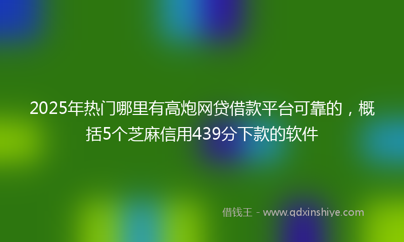 2025年热门哪里有高炮网贷借款平台可靠的，概括5个芝麻信用439分下款的软件