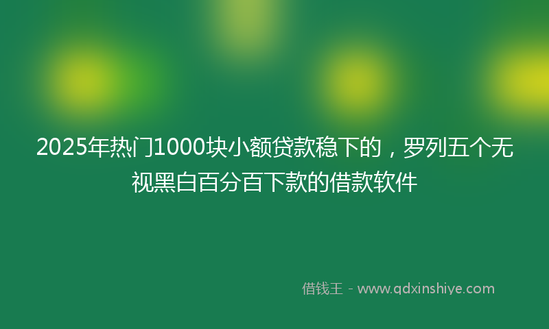 2025年热门1000块小额贷款稳下的，罗列五个无视黑白百分百下款的借款软件