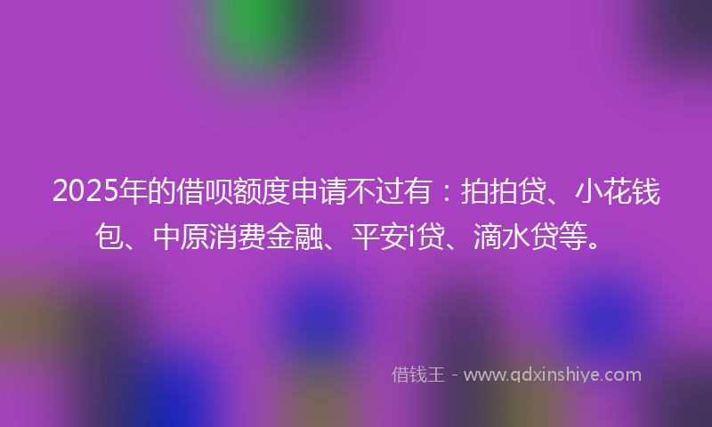 2025年的借呗额度申请不过有：拍拍贷、小花钱包、中原消费金融、平安i贷、滴水贷等。