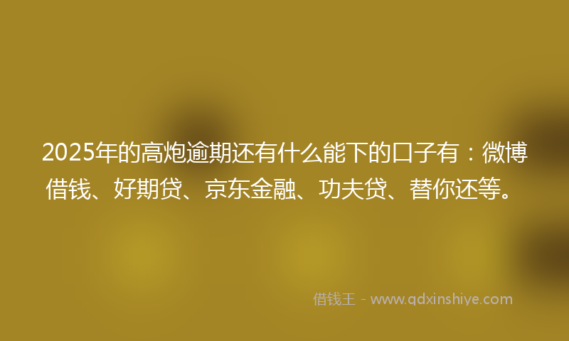 2025年的高炮逾期还有什么能下的口子有：微博借钱、好期贷、京东金融、功夫贷、替你还等。